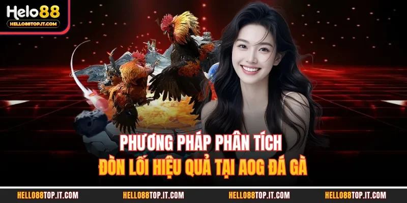 Phương pháp phân tích đòn lối hiệu quả tại AOG đá gà
